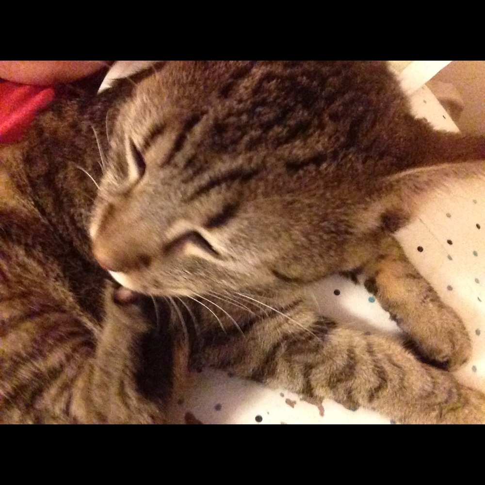 Bundle and save I also accept offers