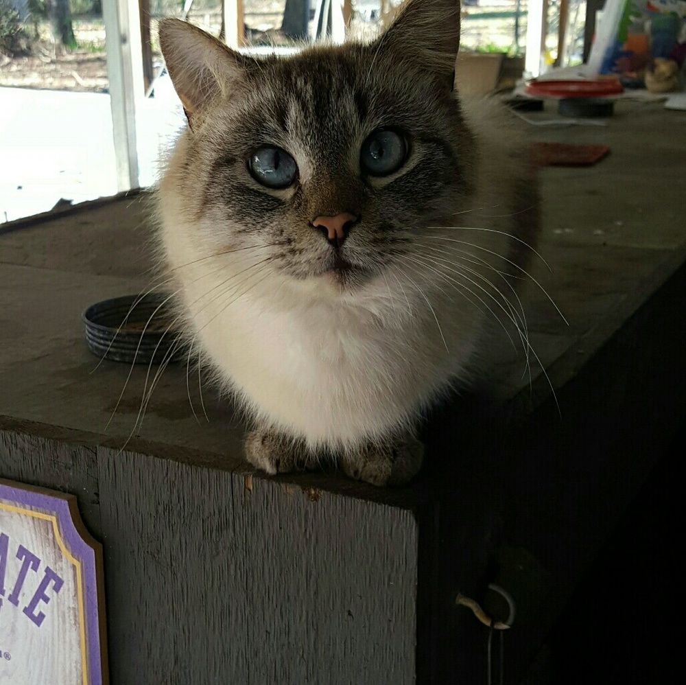 Meet your Posher, Heather