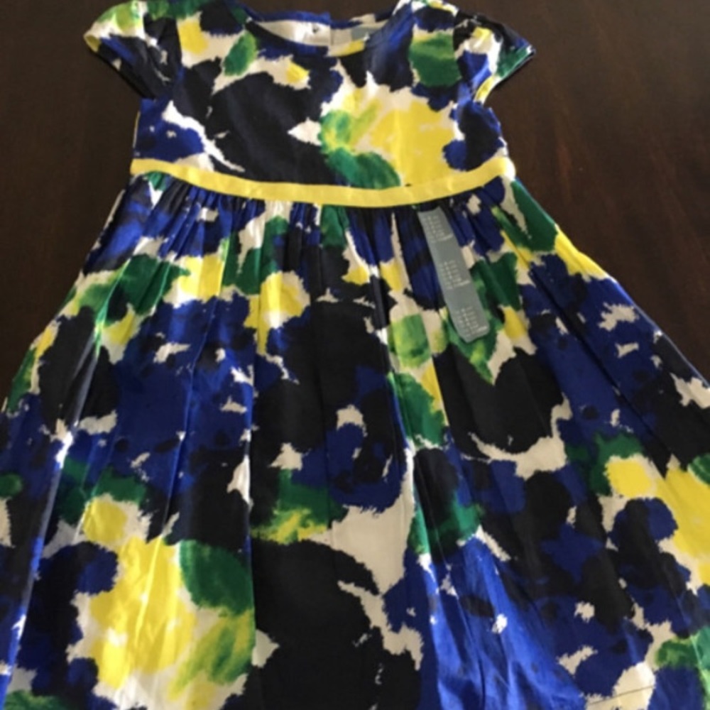 Gap Dress NWNT 4