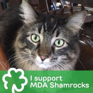 Meet your Posher, Linda