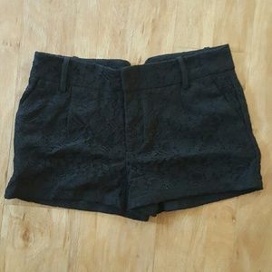 San souci black lace shorts NWOT