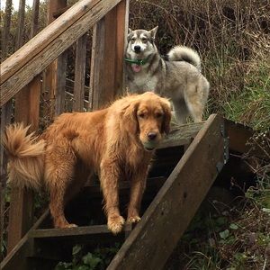 Meet your Posher, Holly