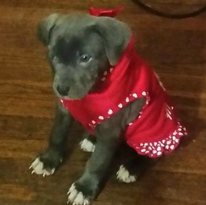 Meet your Posher, Ingrid