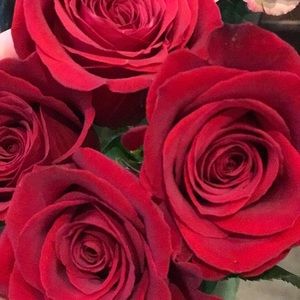 Meet your Posher, Tata