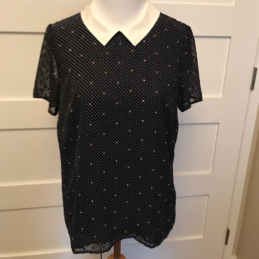 NWT Ann Taylor Dotted Sheer Lined Top