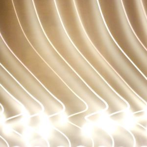 Meet your Posher, Shirley