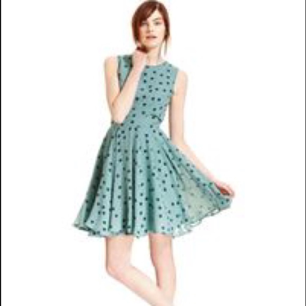 Maison Jules Polka Dot Dress XL