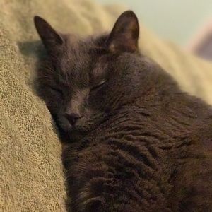 Meet your Posher, Tara