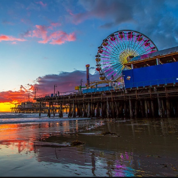 Meet your Posher, Charlie - Picture 1 of 1