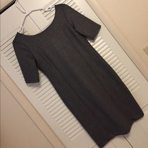 NWT Gray Ann Taylor Sheath Dress