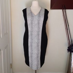CLEAR OUT SALE ✨ Black and white sheath dress