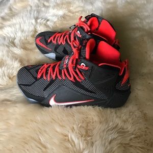 Lebron 12 Court Vision