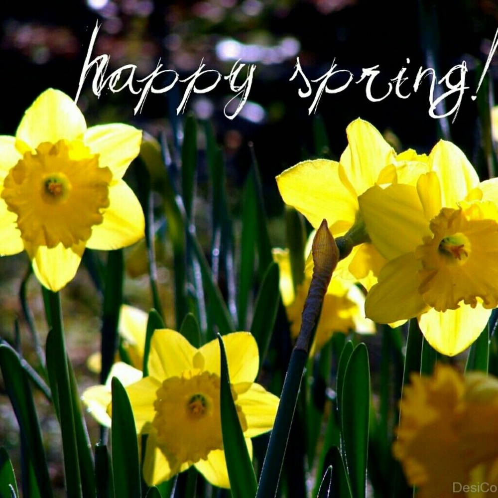 Spring is here! Time to bundle and save.