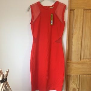 Form fitting Gianni Bini dress