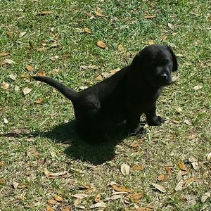 Meet your Posher, Matt