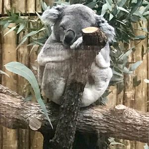 Meet your Posher, April