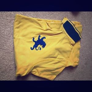 Express polo large lion