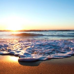 Meet your Posher, Isabelle