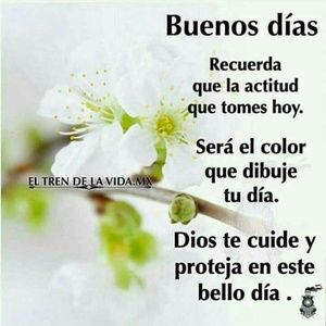 Meet your Posher, Martha