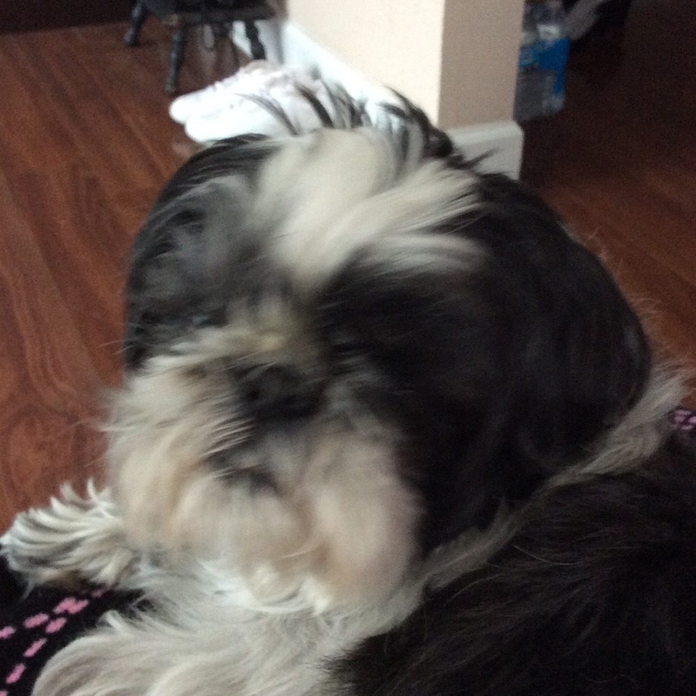 Meet your Posher, Marina