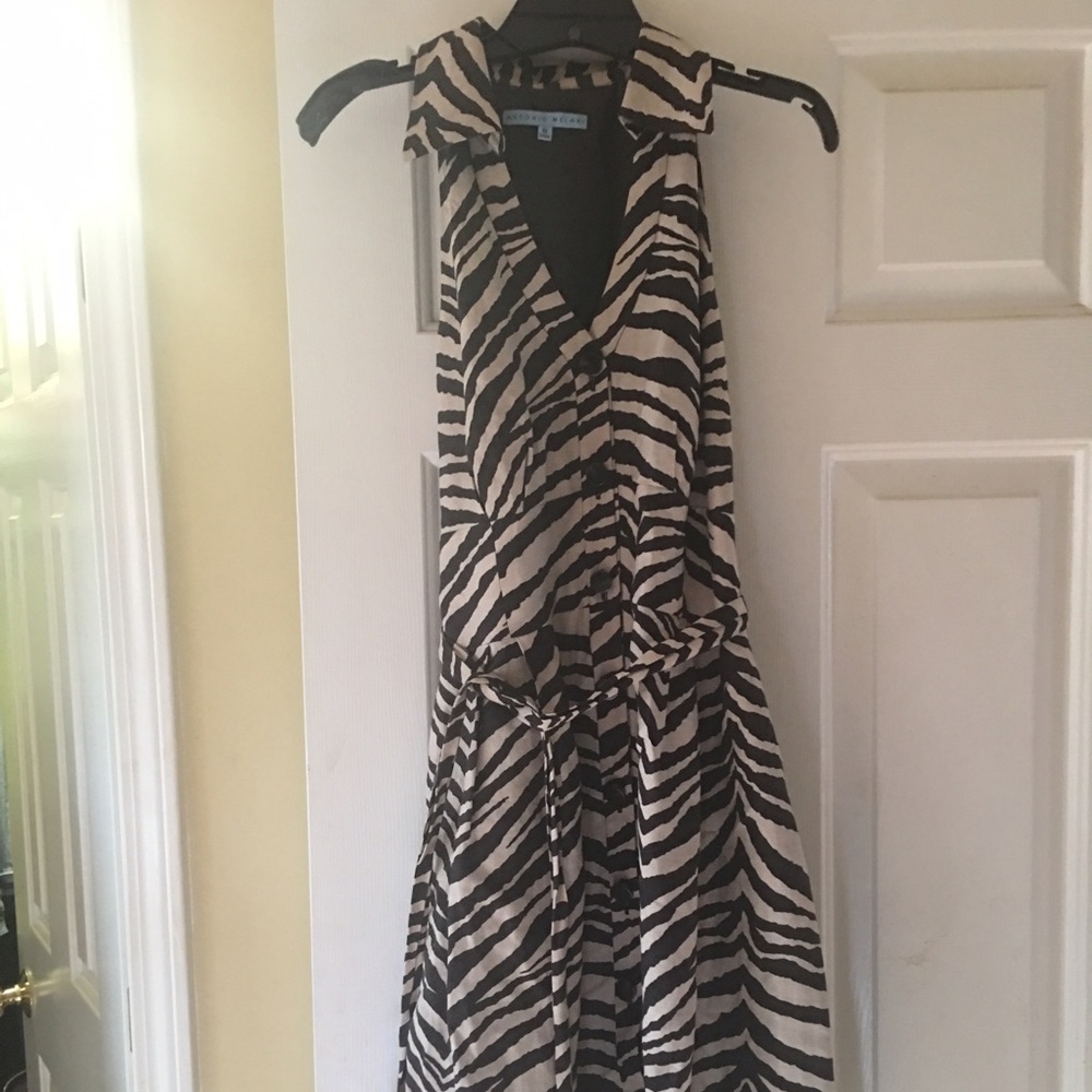Zebra print dress