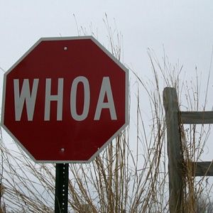 Meet your Posher, Annabelle