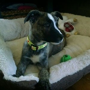 Meet your Posher, Brooke