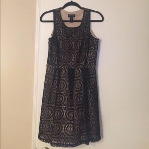 Enfocus Studio Black Lace Dress size 8