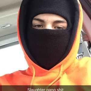 Meet your Posher, Oscar