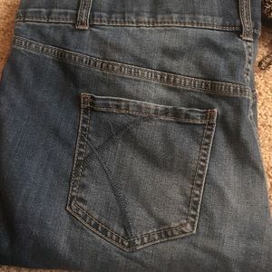 Lane Bryant Skinny Jeans TALL