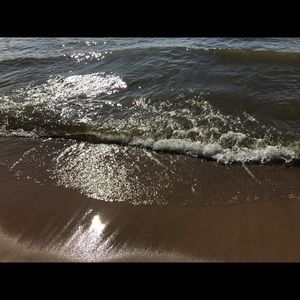 Meet your Posher, Paige