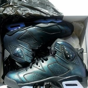 all star chameleon  Jordan 6s