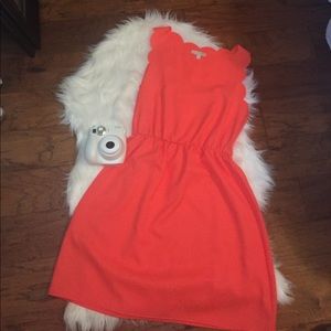 Gianni Bini coral scalloped dress