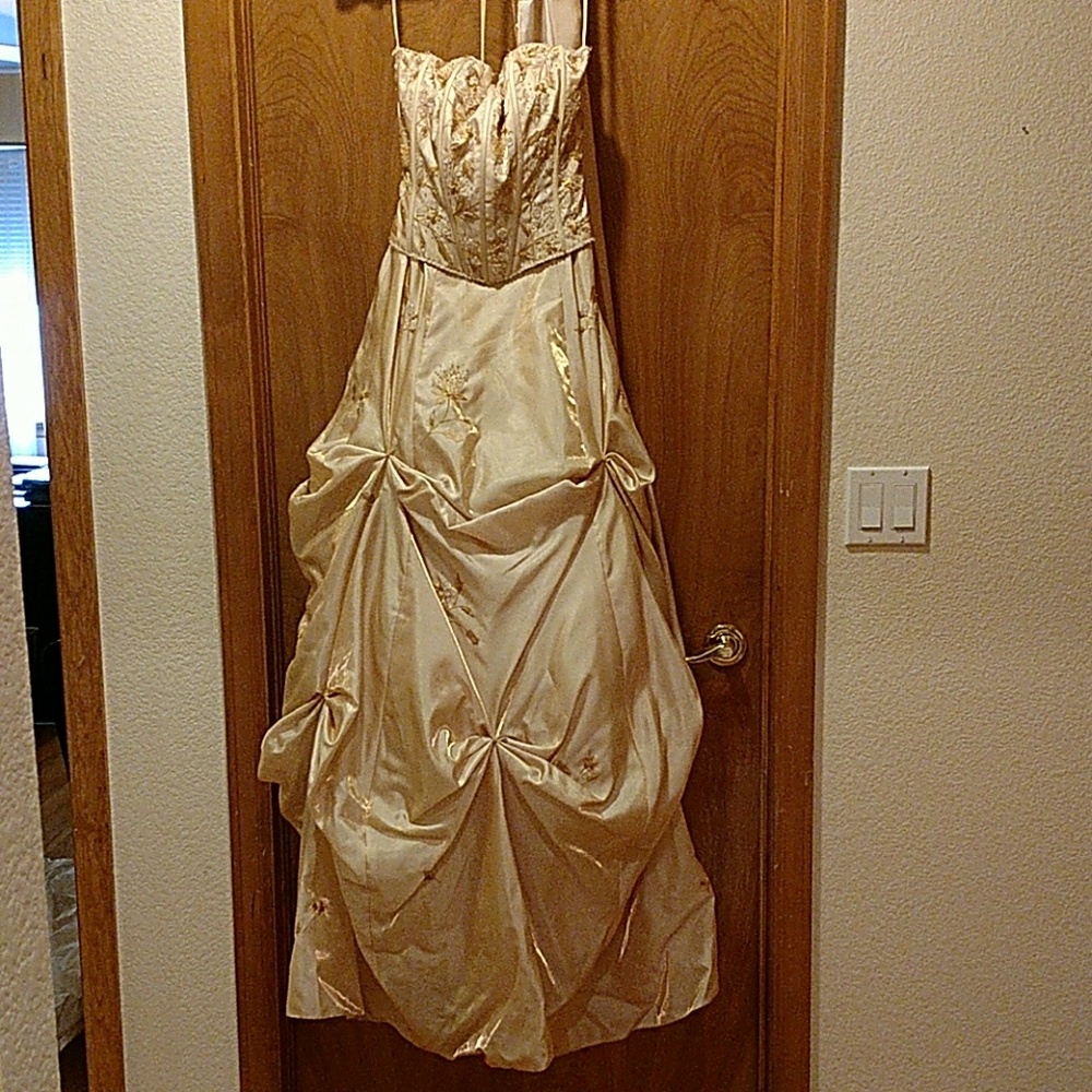 Beauty and the Beast Belle Inspired Prom Dress - Picture 1 of 3