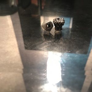 Pandora Charms