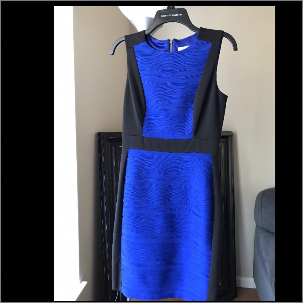 Office/church/formal party dress