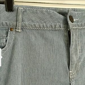 SEERSUCKER LANE BRYANT SKINNY JEANS