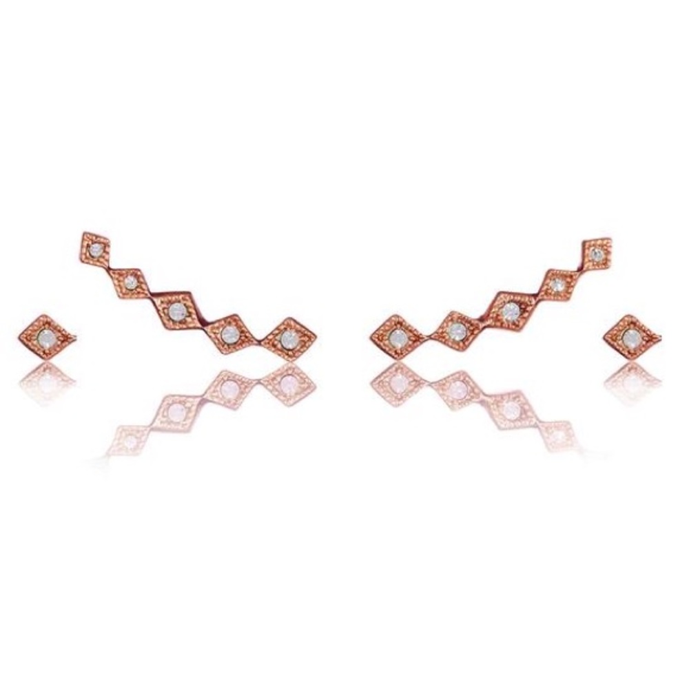 $85 LUV AJ Rose Gold Crawler Earrings Set