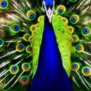 Meet your Posher, Patricia