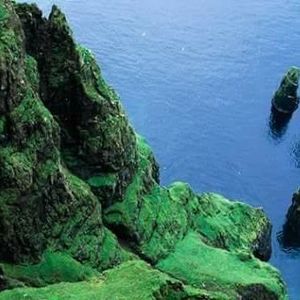 Meet your Posher, Tammy tao