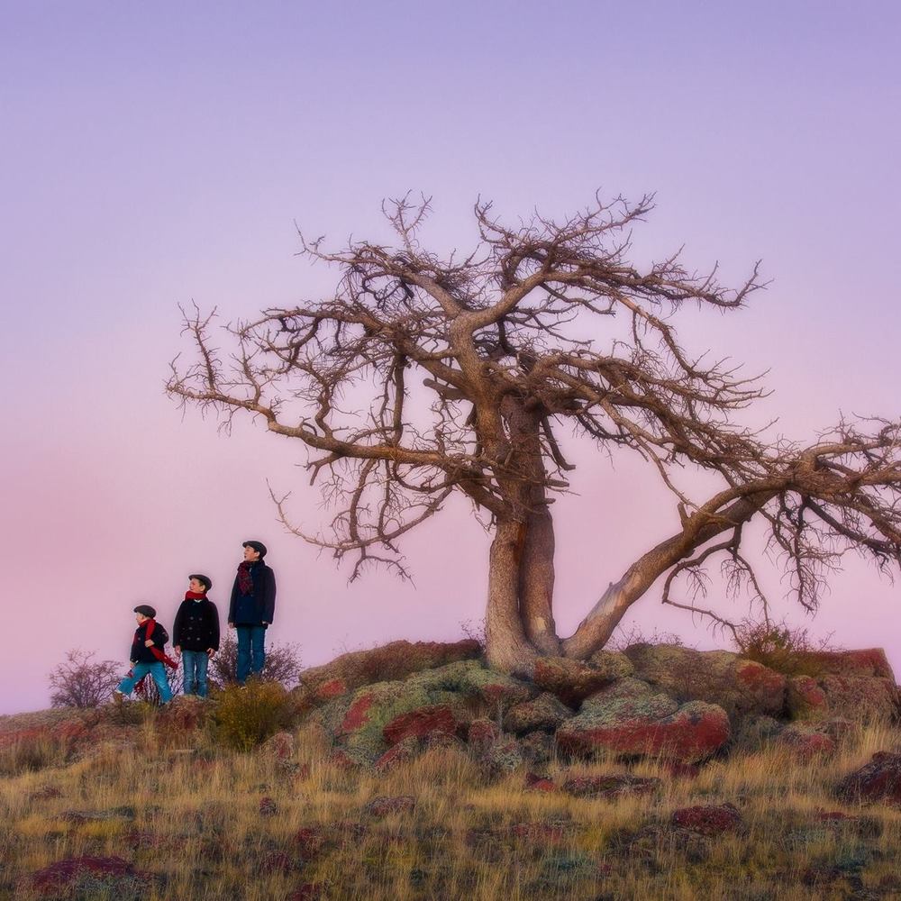 Meet your Posher, Tessa