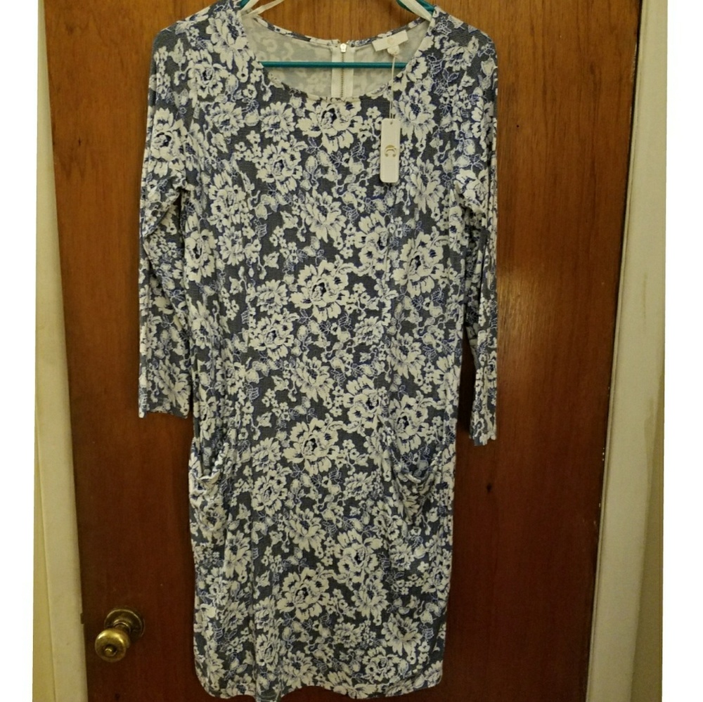Charming Charlies Dress