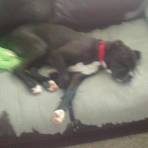 Meet your Posher, Mason