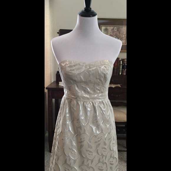 American Eagle Outfitters Dresses & Skirts - Champagne Mini Dress