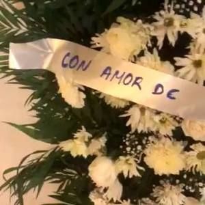 Meet your Posher, Juany