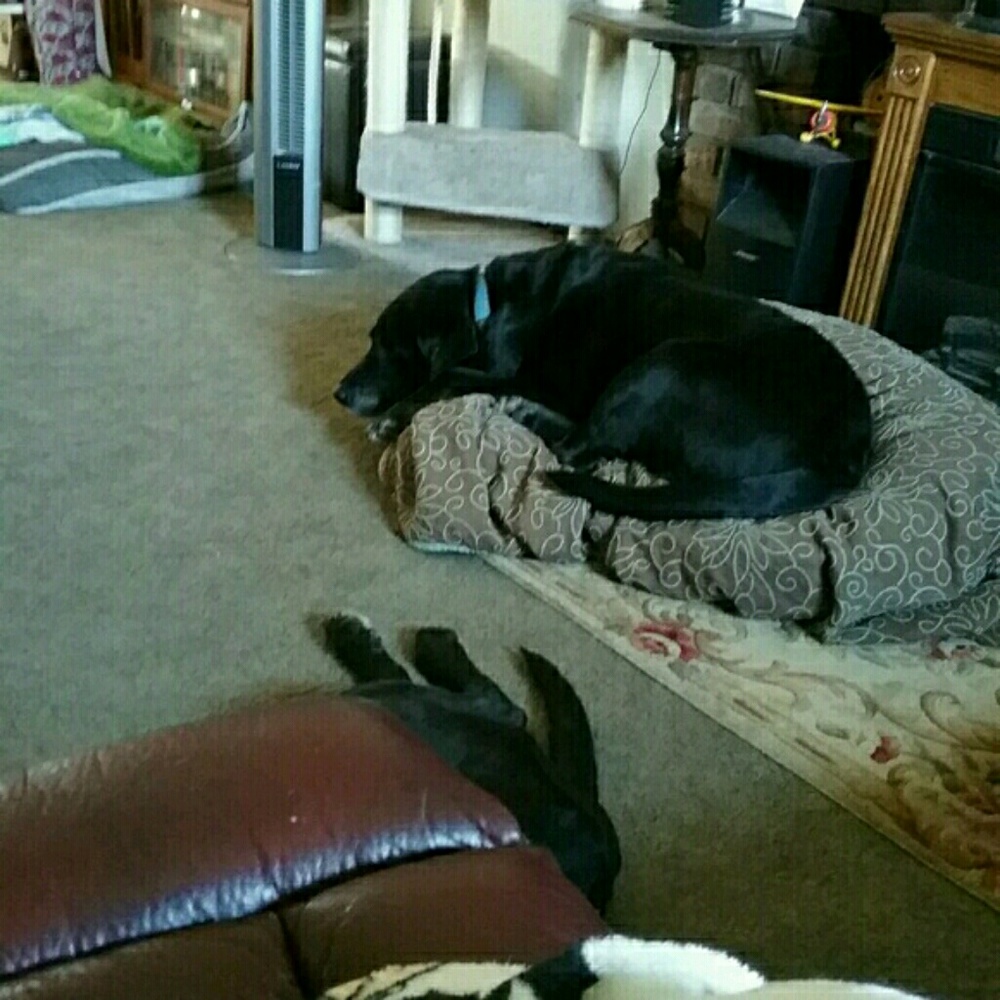 For Angel Sellers only