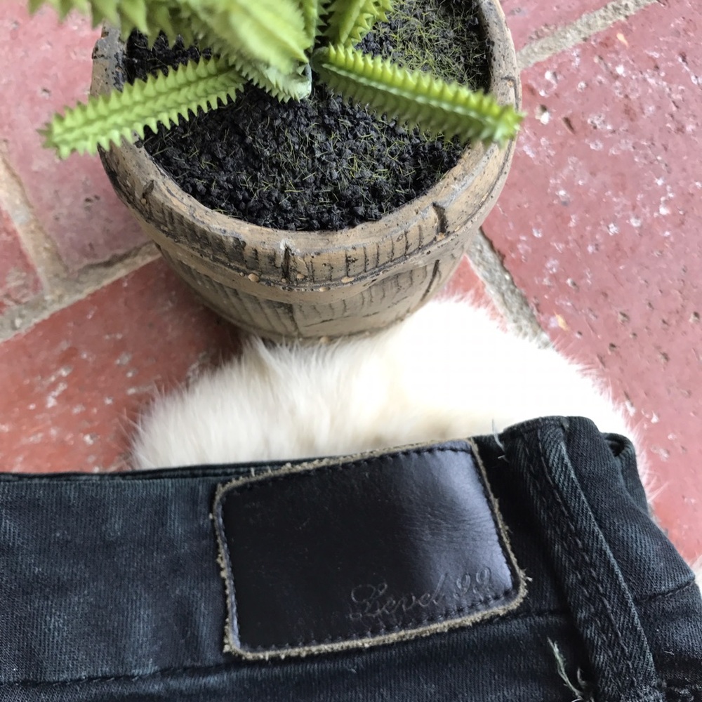 Anthropologie Jeans Level 99 - Picture 4 of 5