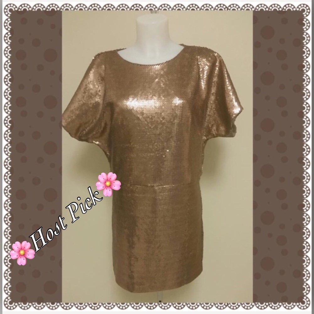 🌸HP🌸 SARA CAMPBELL Sequins dress