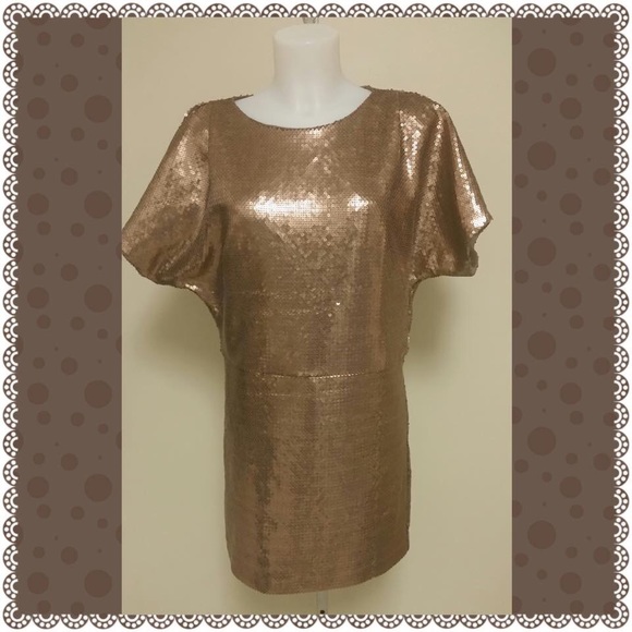 🌸HP🌸 SARA CAMPBELL Sequins dress - Picture 2 of 3