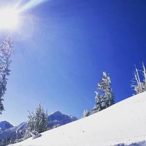 Meet your Posher, Holly